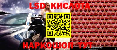 СК Славгород