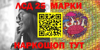 СК Славгород