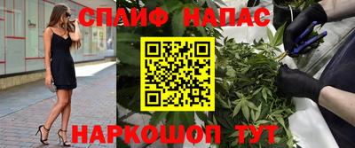 МДПВ Славянск-на-Кубани