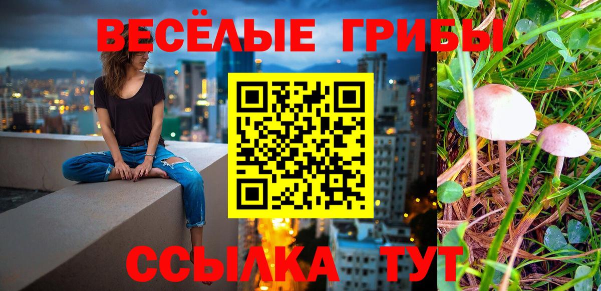 Нижнекамск  наркотики  Вход с VPN  Галлюциногенные грибы прущие грибы 