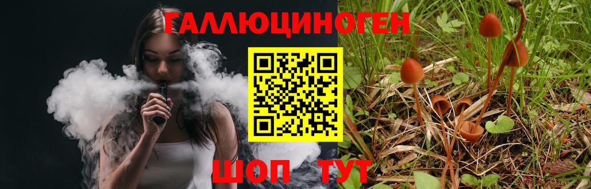 Галлюциногенные грибы GOLDEN TEACHER Нижнекамск